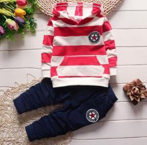Striped Sporty Hoodies Set